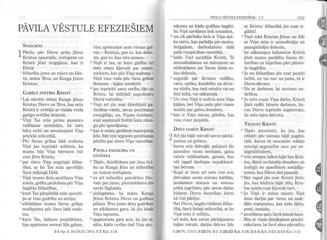 Bībele R65 ar rāvējslēdzēju (brūna ar ziediem)