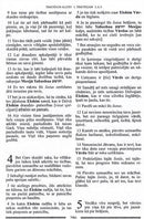 Mesiāniskie raksti. Jaunā Derība ar oriģinālajiem KUNGA Vārdiem, personu vārdiem un vietvārdiem.