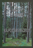 Sērija 2:7. (3. kurss) Kalpojošs māceklis.